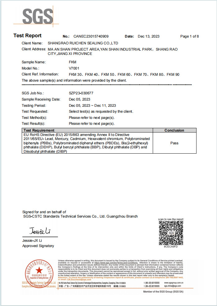 China Dongguan Ruichen Sealing Co., Ltd. Certificaten